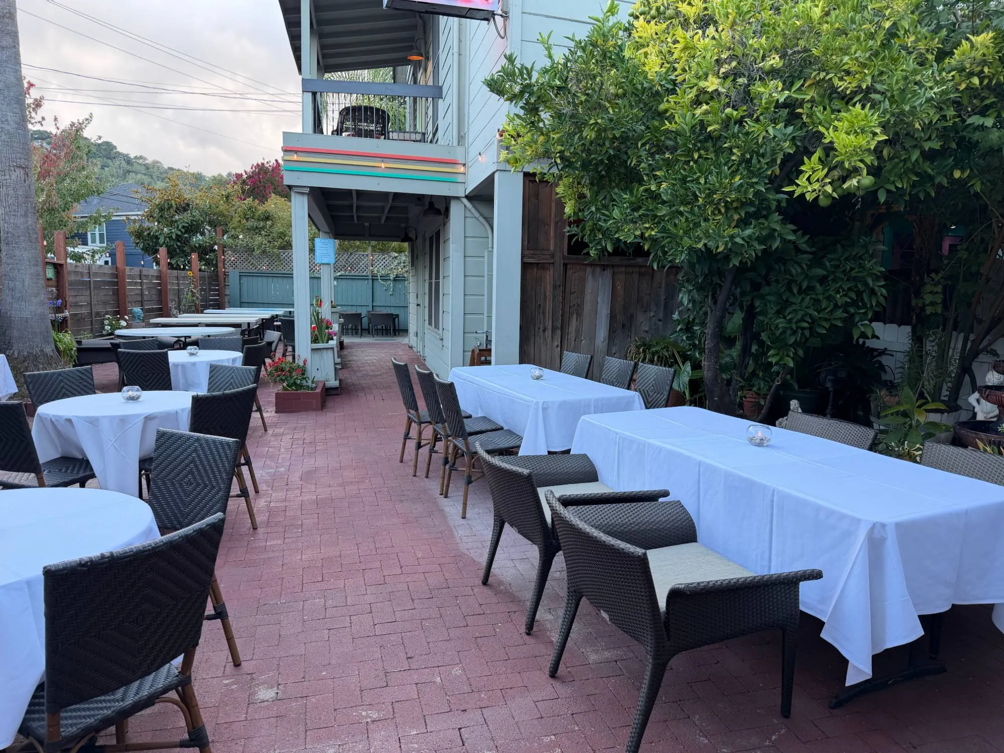 Long tables on the patio beneath the hotel balcony and an orange tree in fruit