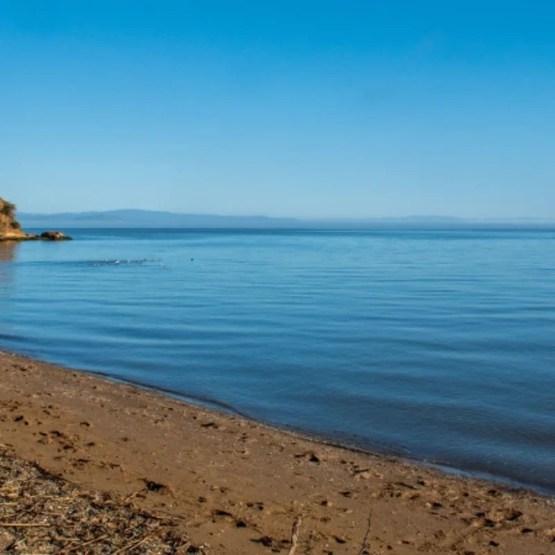 Labor Day Weekend in Marin County: How to Enjoy the Perfect Getaway at Panama Hotel
