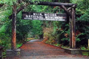 Muir Woods National Monument