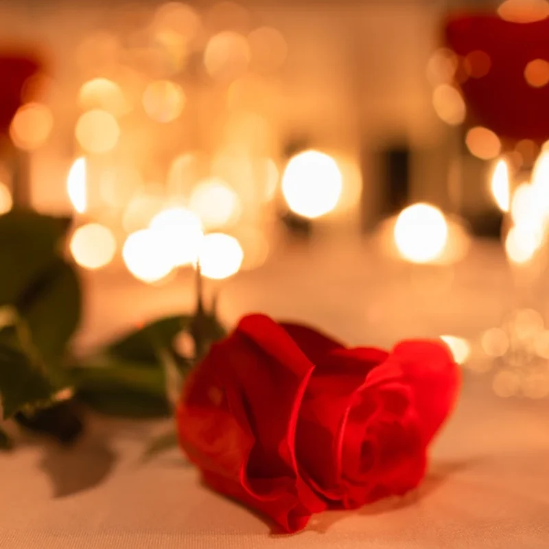 A Cozy Valentine’s Escape in San Rafael