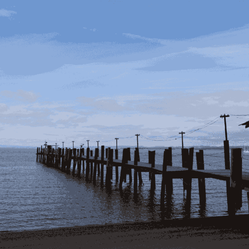 Exploring China Camp State Park