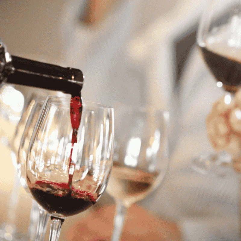 Wine Tasting Adventures in Marin County