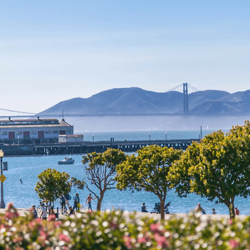 Linger Longer Special